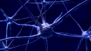 nerve-cells-g0965f73c6_1920